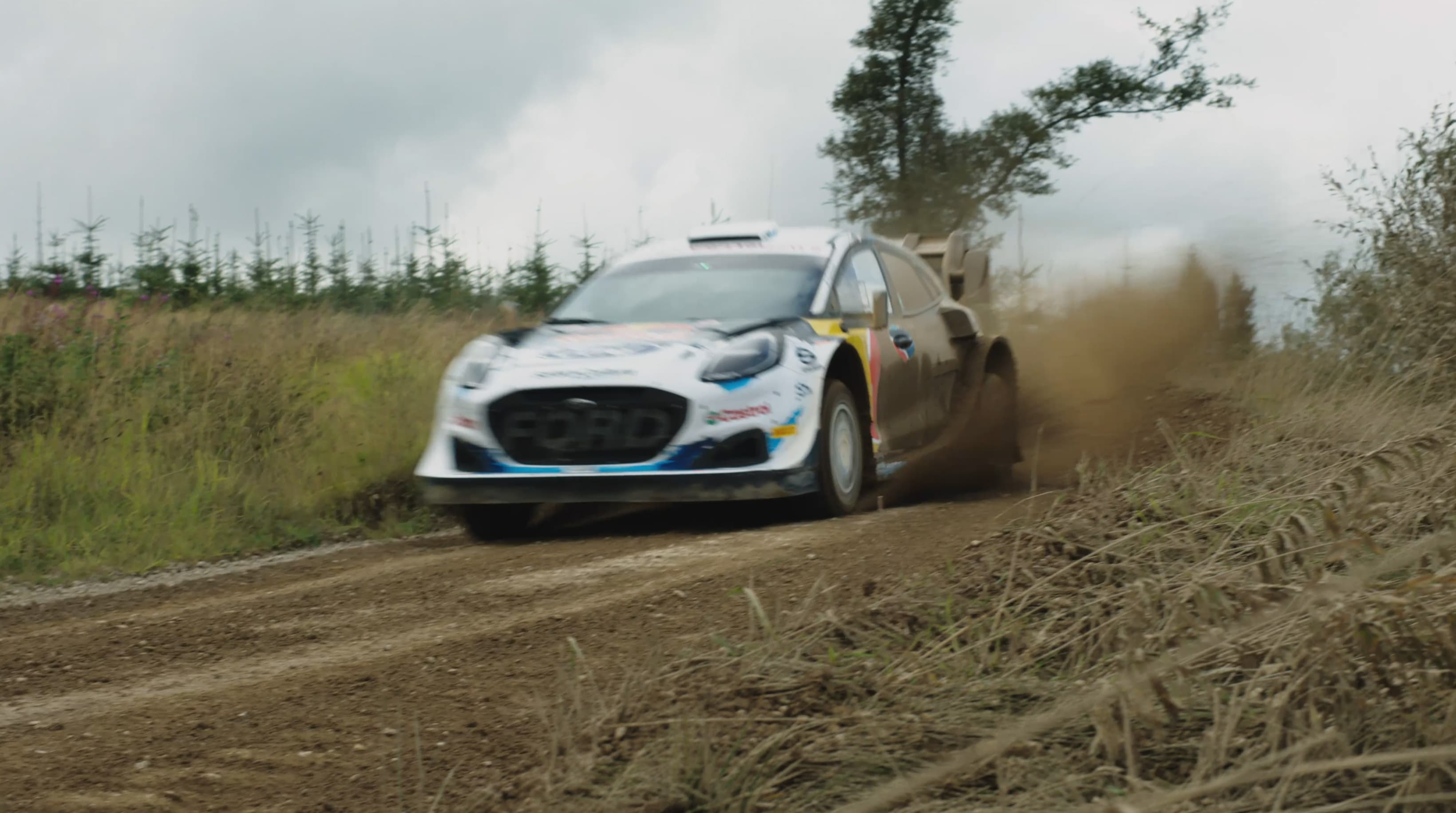 Red Bull - WRC 2024